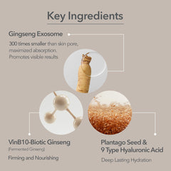 107 Ginseng exosomes close-up highlights ultra-fine particles for deeper nourishment.