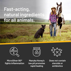 Absorbine Silver Honey Rapid Shampoo application demonstrates easy massage onto affected areas