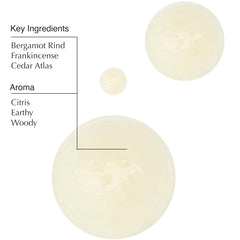 Aesop Geranium Leaf Body Cleanser ingredients graphic highlighting mandarin and bergamot notes