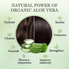 Aloderma Crambe seed oil bottle highlights nourishing oils for stronger hair.