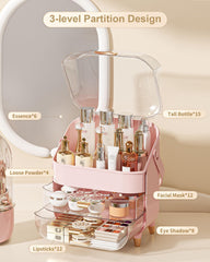Anylady makeup organizer top view highlights tidy drawers and transparent lid
