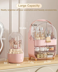 Anylady skincare holder with transparent top keeps tall bottles visible and protected.