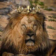 AOPRIE Queen Artemis tiara in gold with crystals for prom and photoshoots