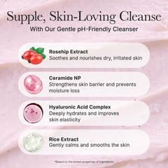 ARENCIA Rosehip Rice Cake Cleanser packaging reflects clean, hypoallergenic formulation