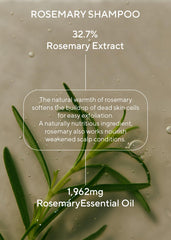 AROMATICA vegan Korean hair care collection branding emphasizing clean formulas