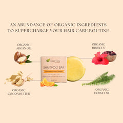 Aspen Kay Naturals Moroccan Argan Oil Shampoo Bar travel-friendly size packaging.