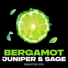AXE Aqua Bergamot and sage essential oils closeup suggests fresh, sophisticated scent profile.