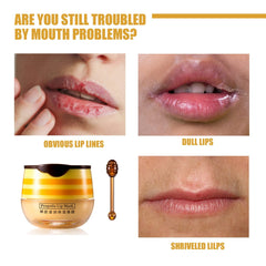 Axnzp lip balm honey pot jar closeup shows natural honey texture for deep hydration.