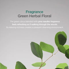 AYUNCHE Rebalancing Shampoo with black soybean extract supports scalp barrier.
