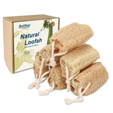 Balifeel loofah sponge 6-pack packaging ideal for gifting and eco-friendly storage.