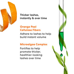 bareMinerals mascara waterproof formula ensures smudge-proof all-day wear