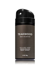 Bath & Body Works Teakwood 2-in-1 wash bottle for quick grooming.