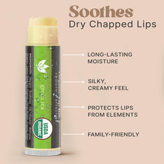Beauty by Earth lip balm tubes family-use display for all ages