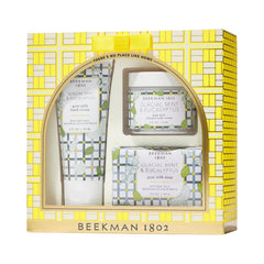 Beekman 1802 at-home spa day gift set packaging with mint and eucalyptus for luxury gifting