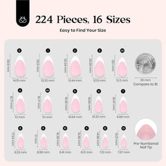 Beetles short almond nails assembled ready for DIY art