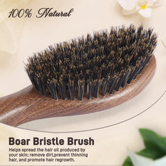 BESTOOL boar bristle brush close-up highlighting natural scalp oil distribution for healthier-looking hair.