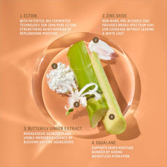 Biossance Squalane Zinc sunscreen swatches on skin, showing sheer finish and even tone