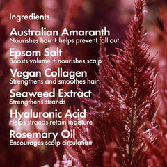 Ingredients close-up highlighting hyaluronic acid and collagen benefits.
