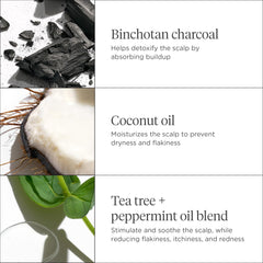 Briogeo Scalp Revival texture close-up highlights microexfoliation removing buildup on scalp