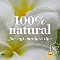 Burt's Bees 100% natural origin ingredients beeswax closeup highlights nourishing moisture