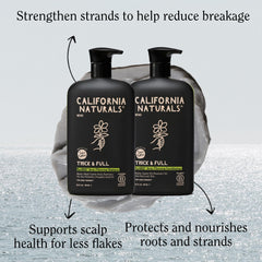 California Naturals Mens Re:GRO shampoo lather action captures clean, refreshed hair