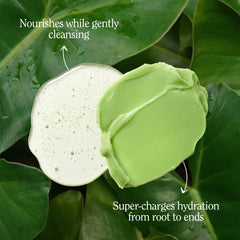 California Naturals Moisture Conditioner bottle displays a smooth, glossy finish.