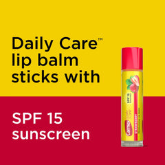 Carmex Daily Care SPF15 Variety Pack interior shows organized sticks for on-the-go protection.