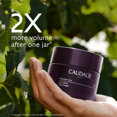 Illustration of Caudalie Premier Cru application technique from center of face outward