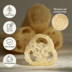Chill Ah loofah sponge set close-up texture illustrating natural loofah material.