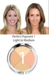 Christina Cosmetics Perfect Pigment 1 swirl with brush demonstrates quick multi-use application.