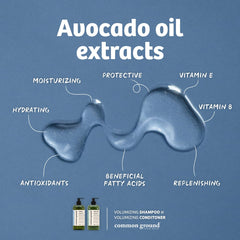 Common Ground avocado oil ingredient bottle illustrating nourishing care for scalp and hair