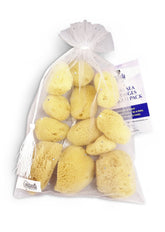 Constantia Beauty Natural Sea Silk Sponges close-up texture for gentle makeup removal and application.