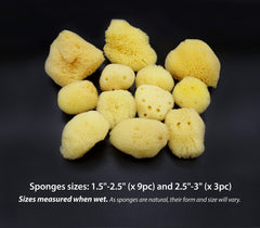 Constantia Beauty Natural Sea Silk Sponges eye-area application demonstrates precise, comfortable cosmetic blending.