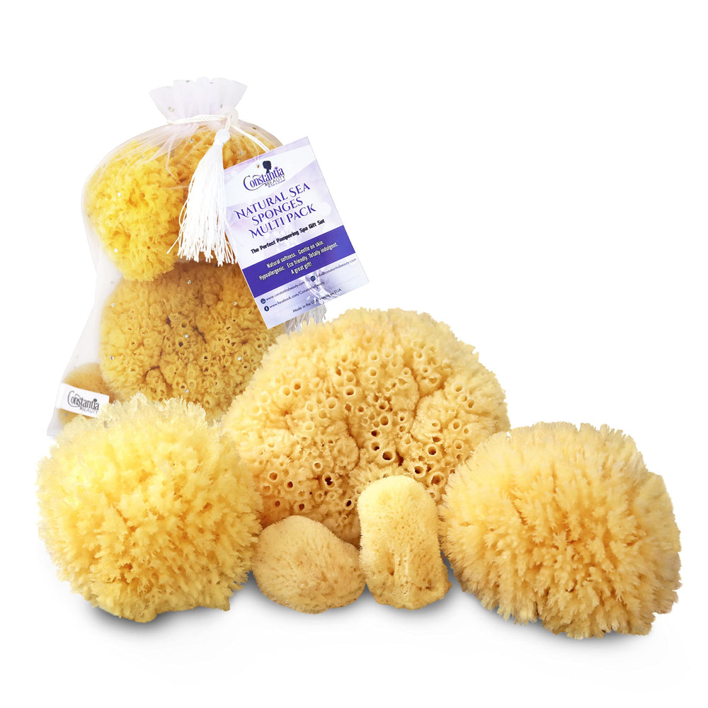 Constantia Beauty sea sponges multipack 5pc for gentle exfoliation and cleansing