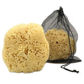 Constantia Man sea sponge extra large 6-7 inch ready for invigorating shower exfoliation.