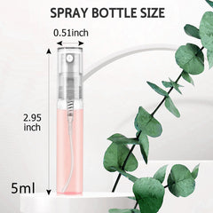 Csdtylh clear glass perfume bottle highlights clean, durable construction for lasting fragrance storage.