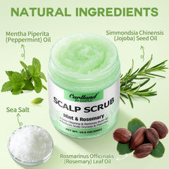 Curlland rosemary-scalp-exfoliator-texture close-up highlighting exfoliating texture for clean scalp.