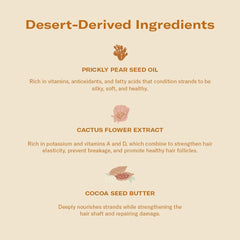 DAE Monsoon Moisture Mask cocoa seed butter closeup demonstrates nourishing repair