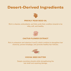 DAE Monsoon Moisture Mask cactus flower extract supports elasticity and strength.