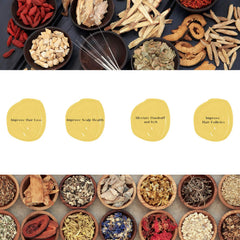 Daeng Gi Meo Ri Ki Gold herbal scent closeup communicates refreshing wash.