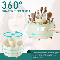 Diesisa cream makeup brush holder with 5 slots neatly organizing items.