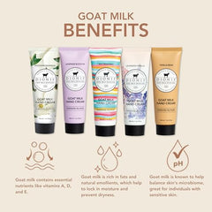 Dionis travel-size hand creams in assorted scents for on-the-go moisture.
