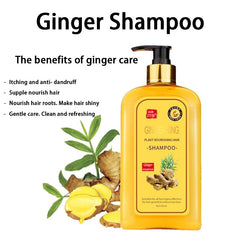 Dosoecse Ginaday Ginger Shampoo pour shows easy application for cleansing.