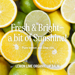 Dr Bronner's Organic Lip Balm ingredients sign highlighting beeswax avocado jojoba oils