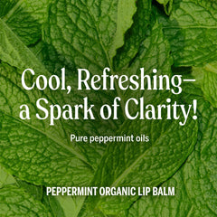 Dr. Bronner's beeswax lip balm ingredient badge on container.