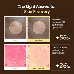 Dr Reju-All Advanced PDRN Cream gel texture closeup for smooth application