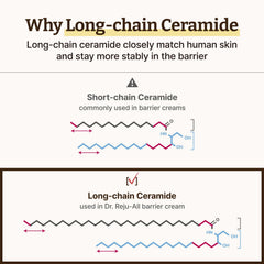 Dr. Reju-All long-chain ceramide close-up emphasizes barrier-strengthening properties.
