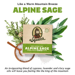 Dr. Squatch Alpine Sage bar soap packshot shows 10-pack value and masculine branding