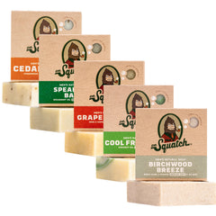 Dr. Squatch Birchwood Breeze bar soap—refreshing, masculine scent for shower time.