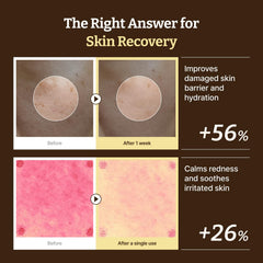 Dr.Reju-All PDRN Advanced Cream packaging highlights travel-friendly size.